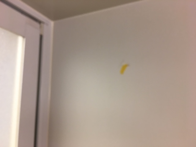 UBパネル傷補修 Before